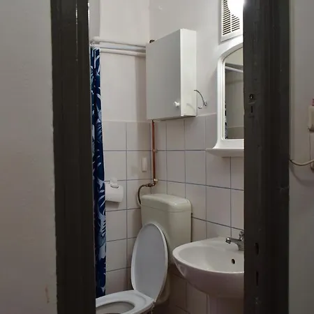 Cismigiu Cozy Flat Apartment *